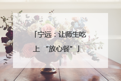 宁远：让师生吃上 “放心餐”